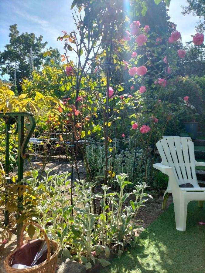Le Jardin Secret & Spa Saint-Brieuc Exterior foto